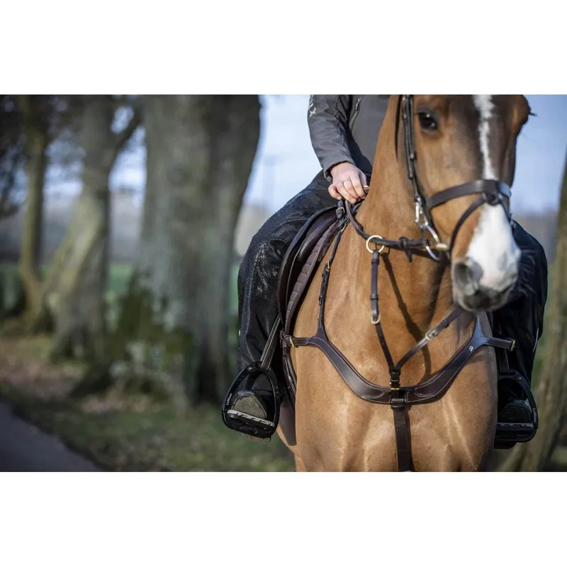 LeMieux DryTex Stormwear Waterproof Chaps Black 4 LeMieux DryTex Stormwear Waterproof Chaps Black - Image 4
