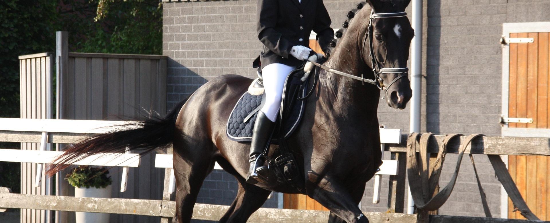 Equestrian Riding Clothing Store 9 Equestrian Riding Clothing Store -Equestrian Riding Clothing Store dressage riding 1308446 1920