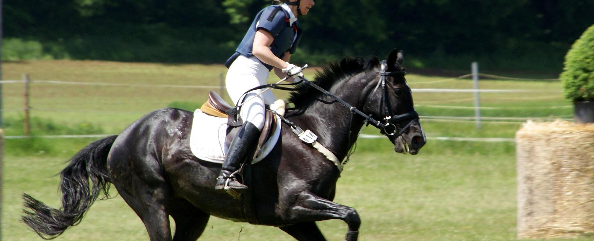 Equestrian Riding Clothing Store 1 Equestrian Riding Clothing Store -Equestrian Riding Clothing Store horse riding 201702 1920